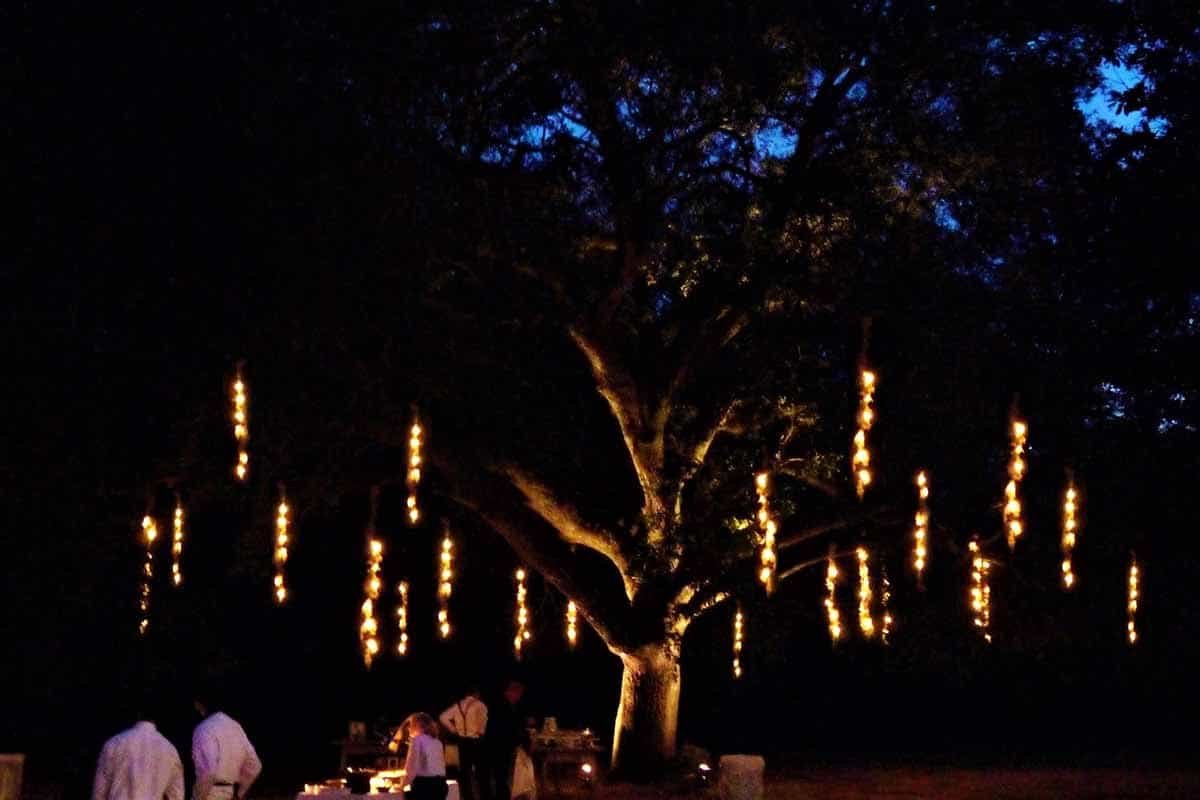 161112-Wavering-Place-Plantation-06