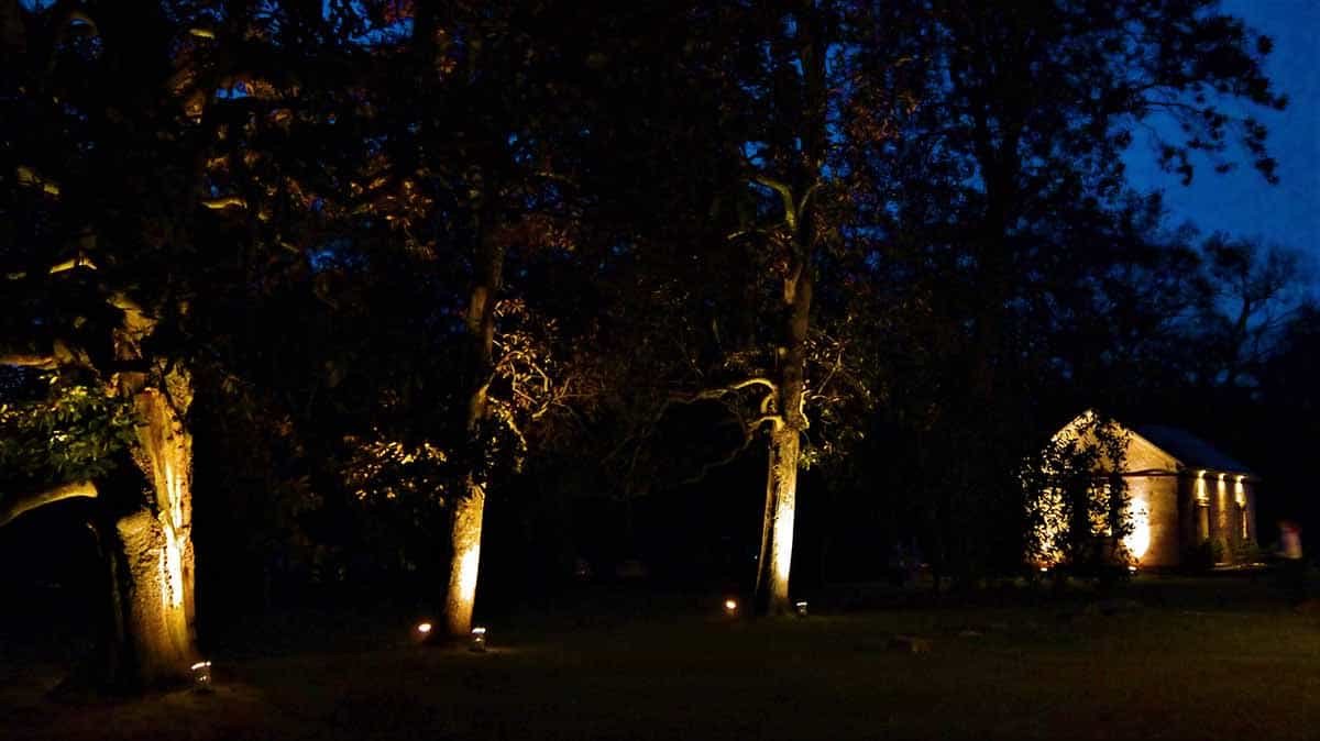 161112-Wavering-Place-Plantation-07