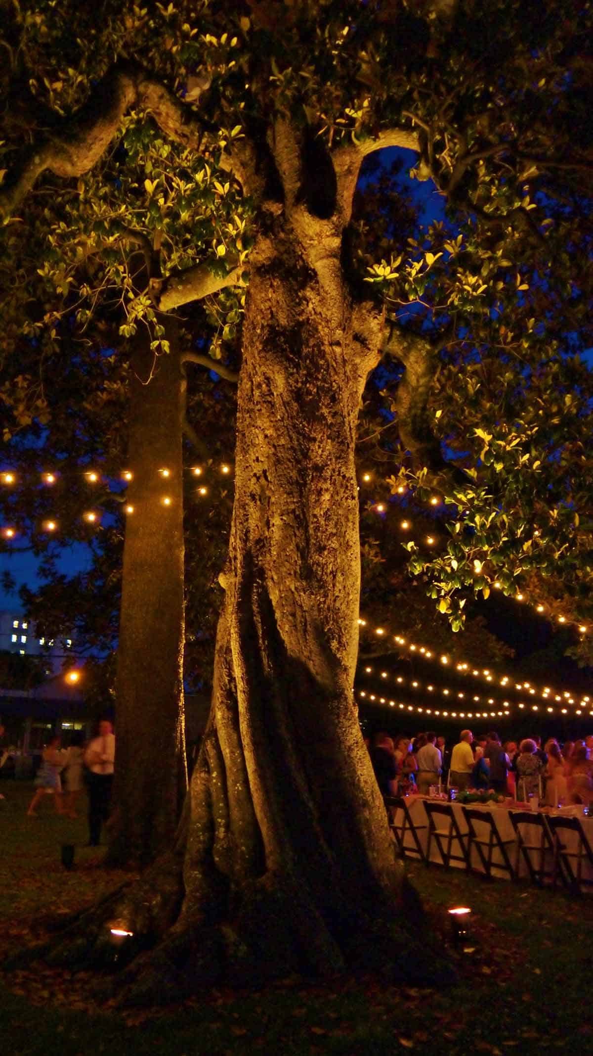 160514-allison-taylor-events-robert-mills-house-01