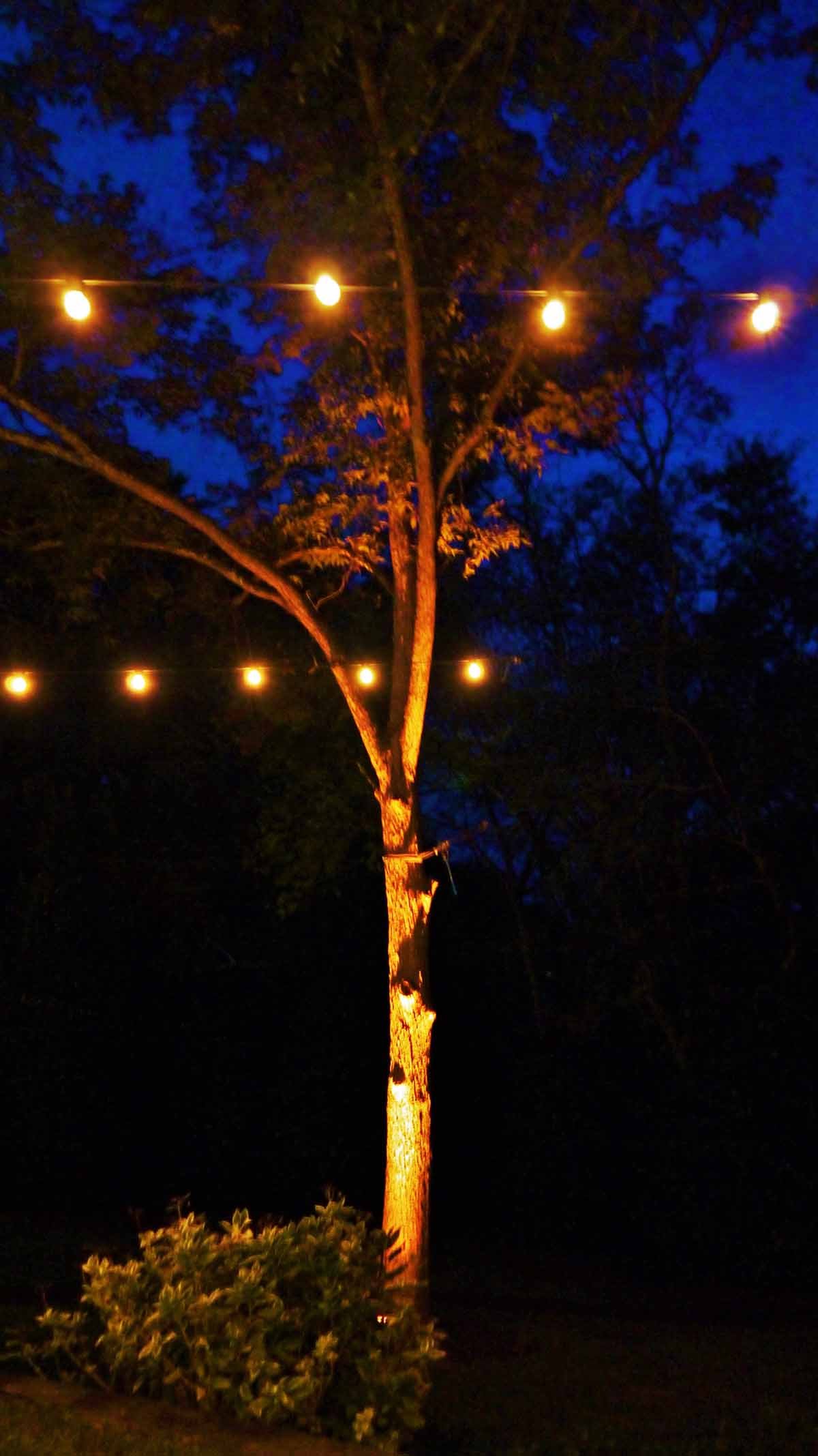 131012-pci-kendall-turner43