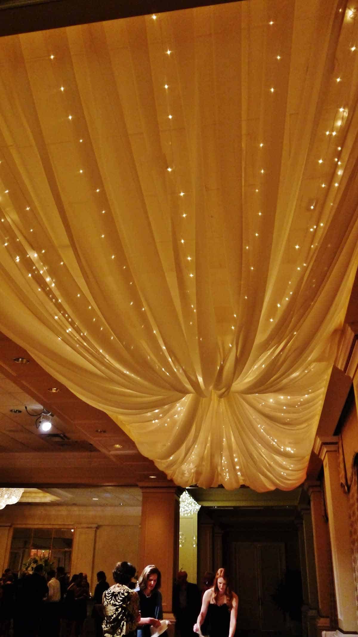 140920-Jimmilib-Harrison-09