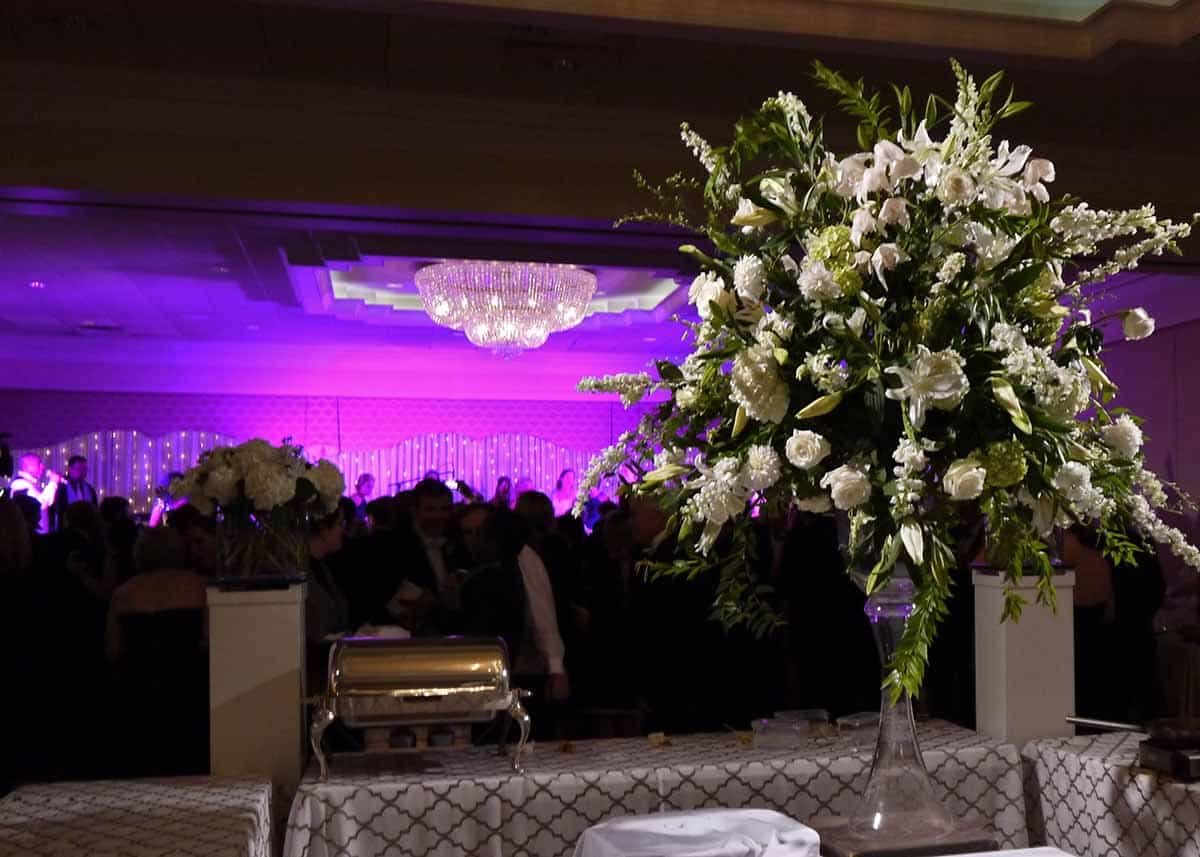 140920-Jimmilib-Harrison-45