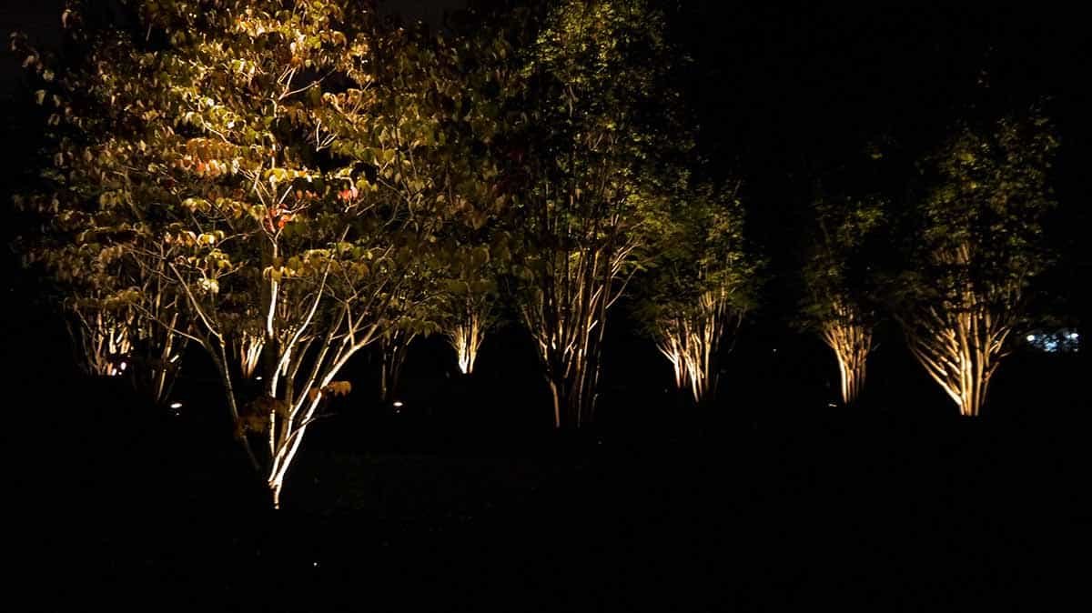 140927-Ashley-Nicole-Events-50