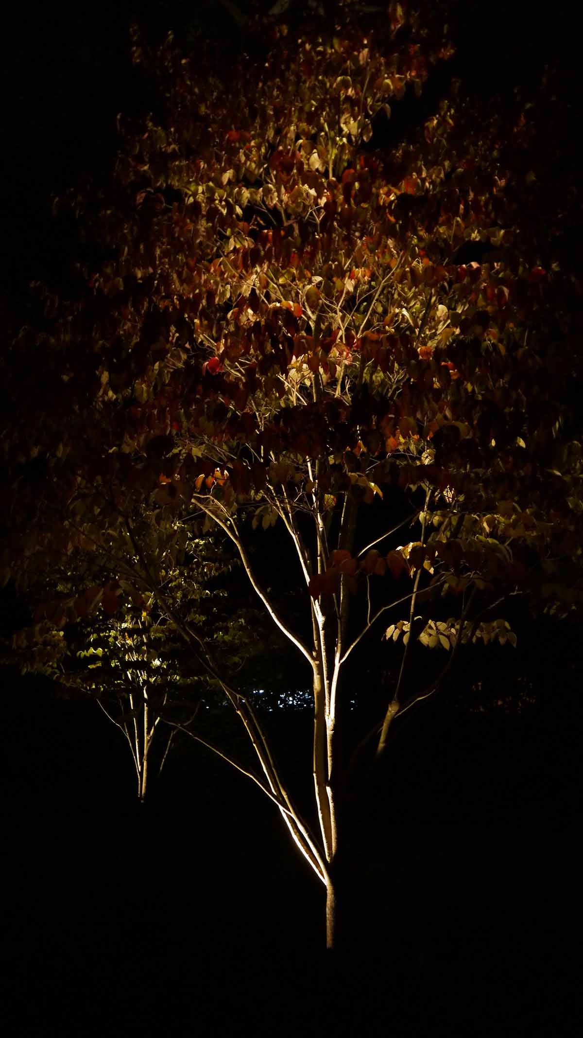 140927-Ashley-Nicole-Events-55