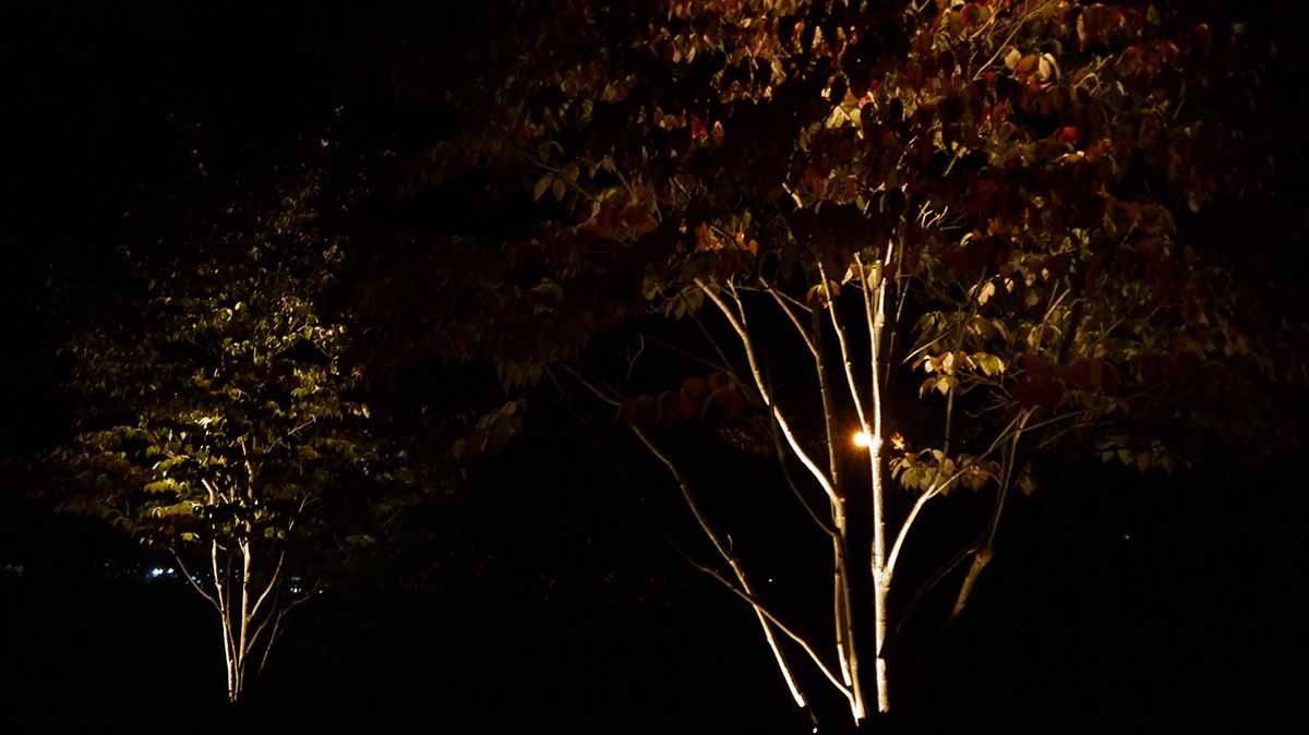 140927-Ashley-Nicole-Events-56