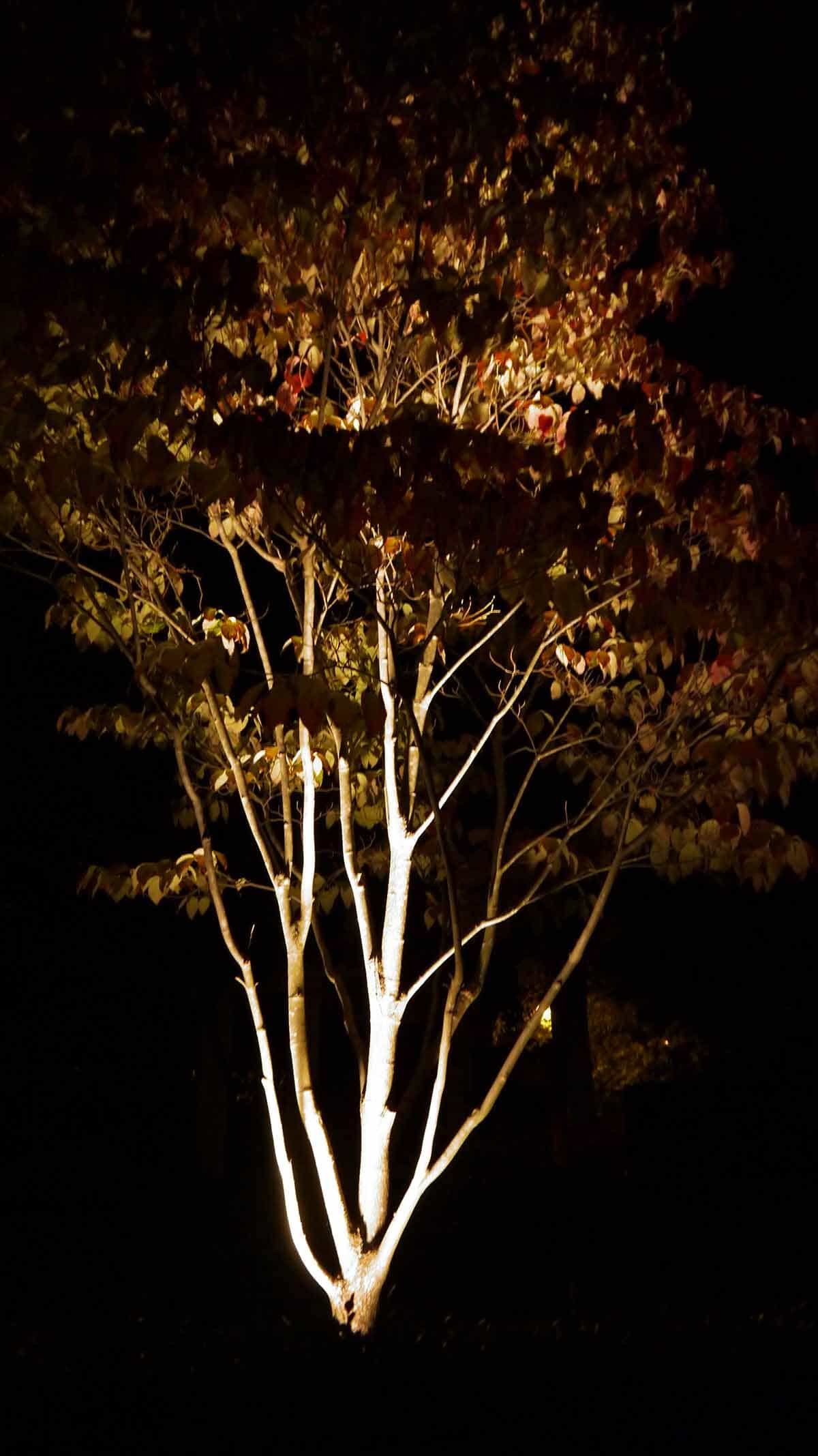 140927-Ashley-Nicole-Events-57