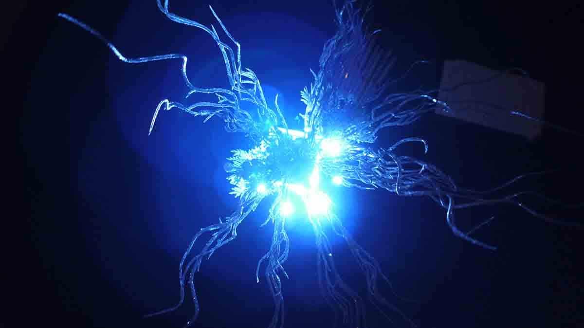 140111-Valene-Sims-wedding-52