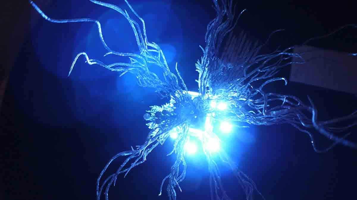 140111-Valene-Sims-wedding-53