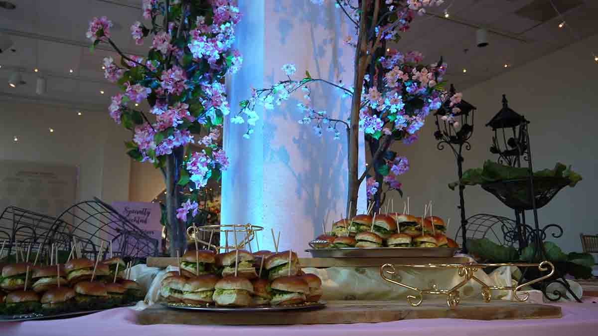 170401-CMA-Gala-Columbia-Museum-of-art-13