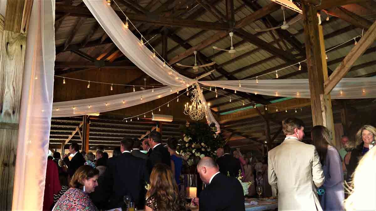 0011161022-cricket-newman-san-souci-