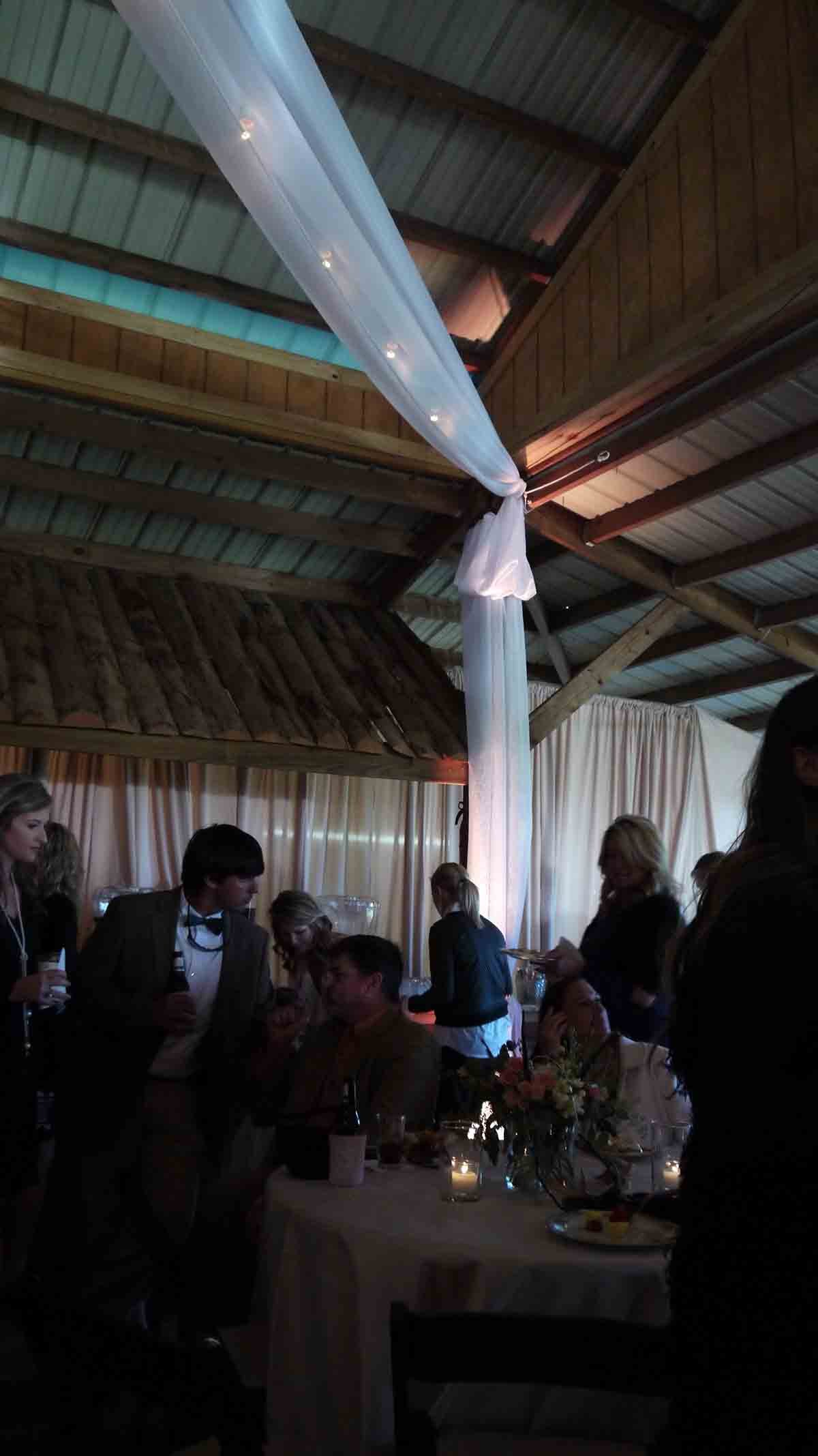 0019161022-cricket-newman-san-souci-