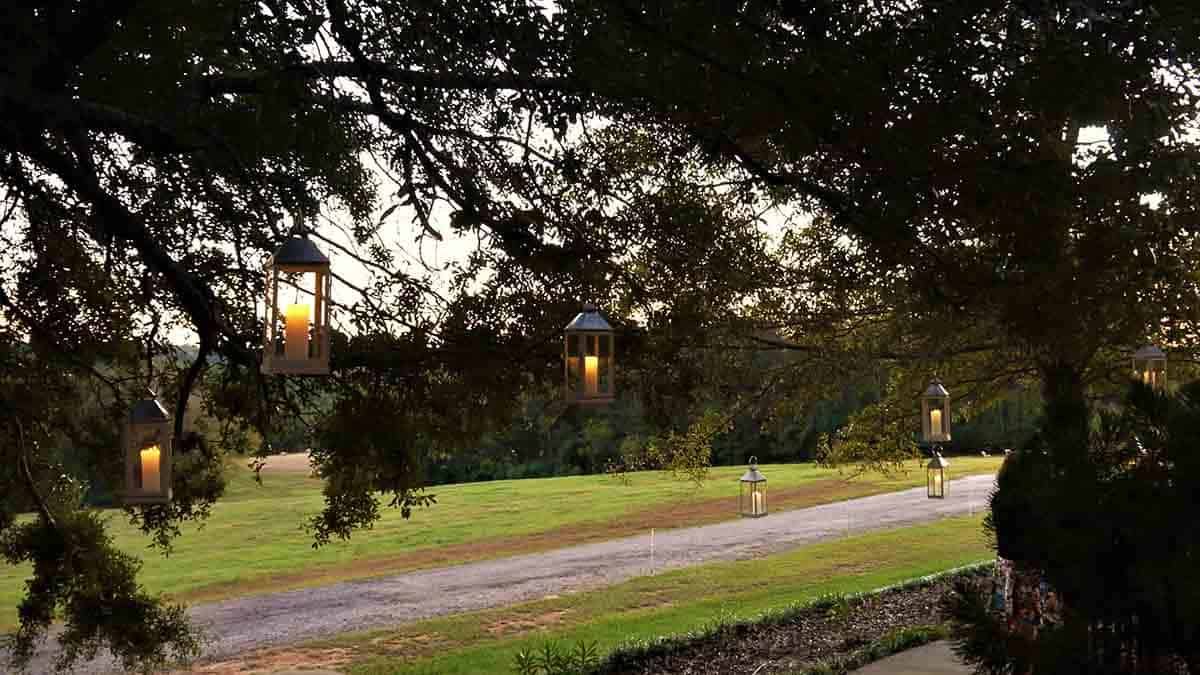 0032161022-cricket-newman-san-souci-