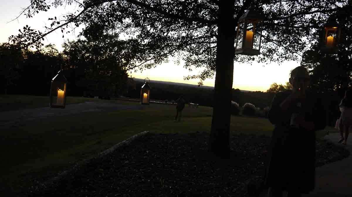 0037161022-cricket-newman-san-souci-