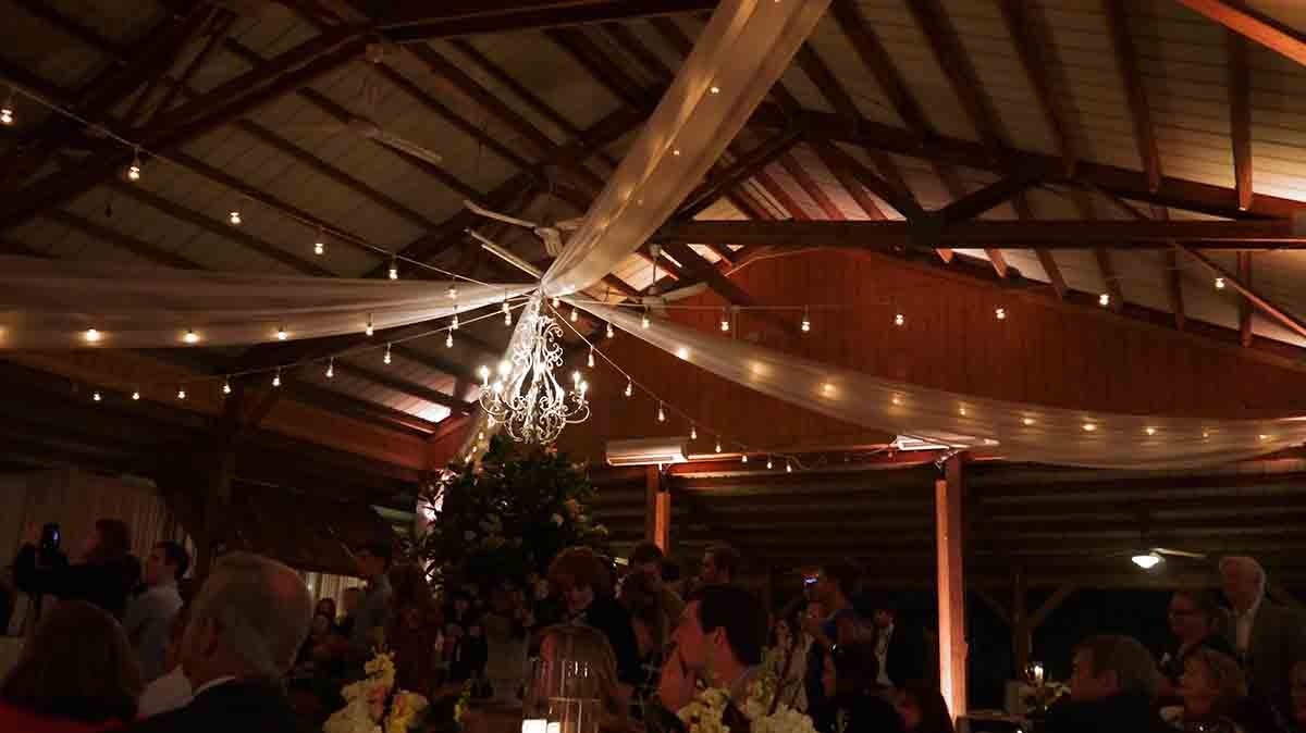 0044161022-cricket-newman-san-souci-