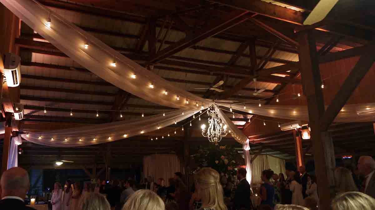 0045161022-cricket-newman-san-souci-