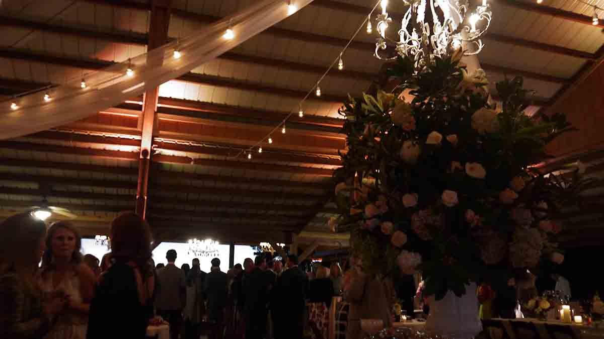 0050161022-cricket-newman-san-souci-