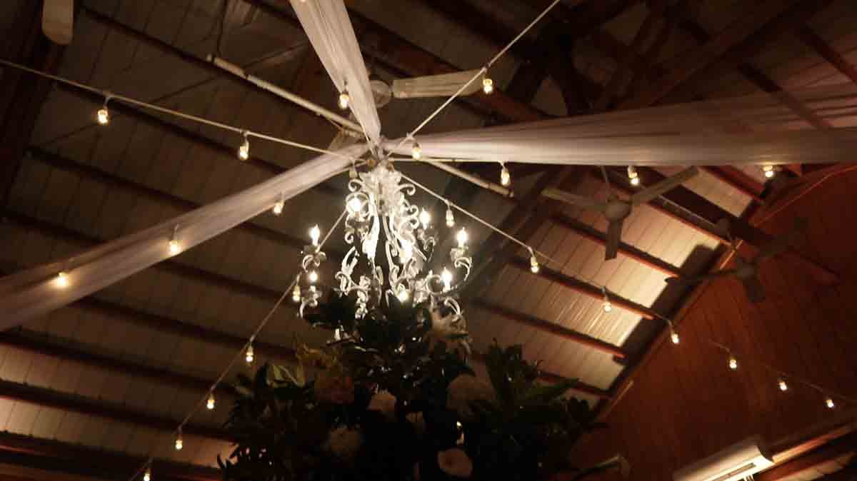 0051161022-cricket-newman-san-souci-