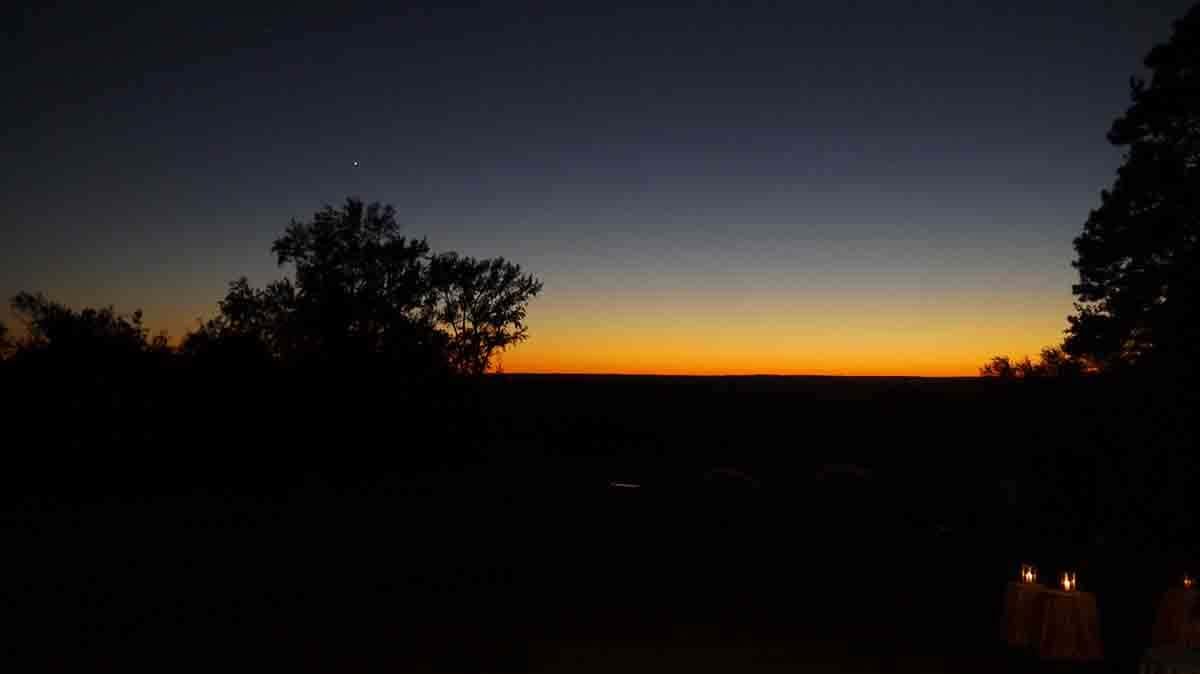 0053161022-cricket-newman-san-souci-