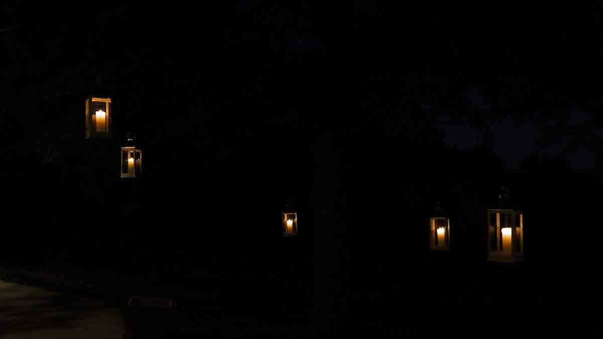 0057161022-cricket-newman-san-souci-