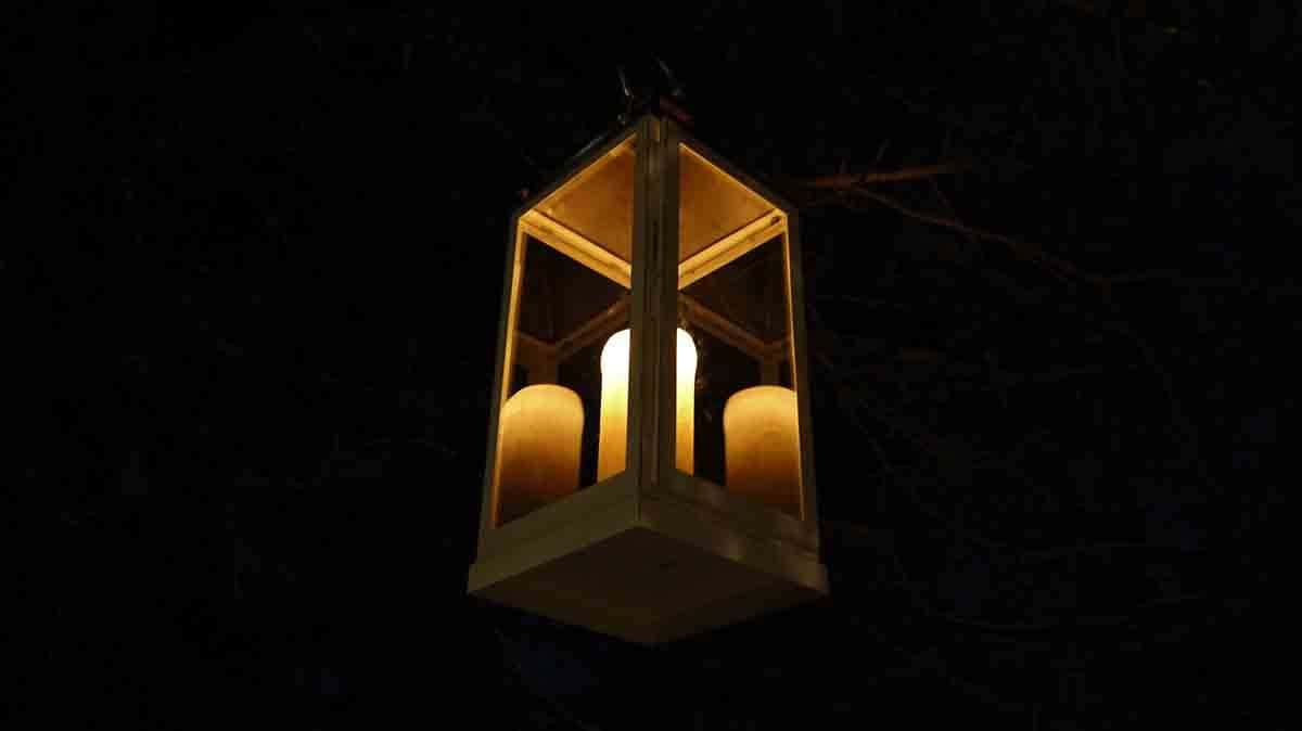 0058161022-cricket-newman-san-souci-