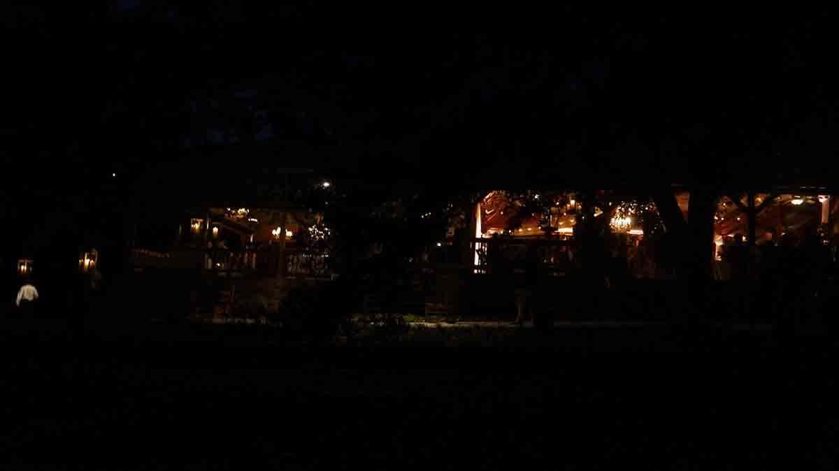 0059161022-cricket-newman-san-souci-