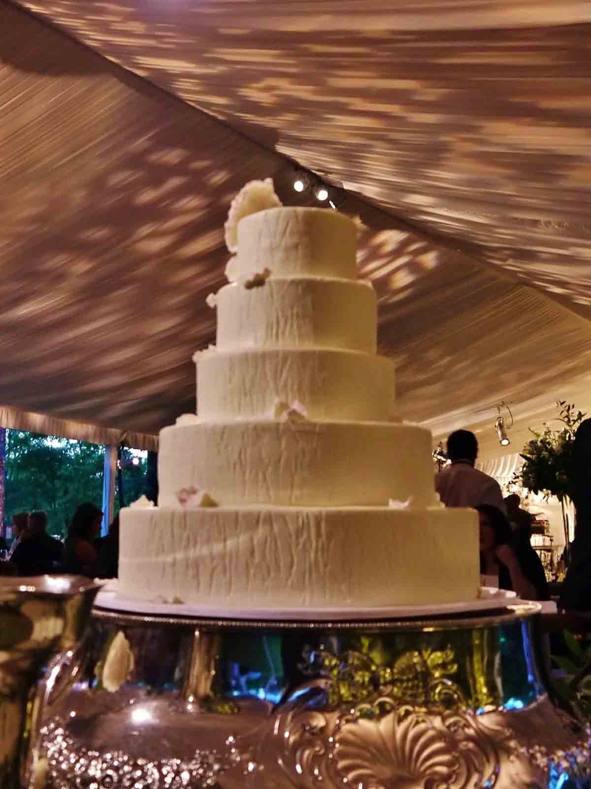 0015-150302-Elizabeth-Jimmilib-Harrison-wedding