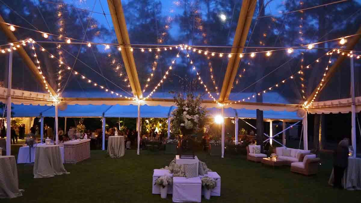 0027-150302-Elizabeth-Jimmilib-Harrison-wedding