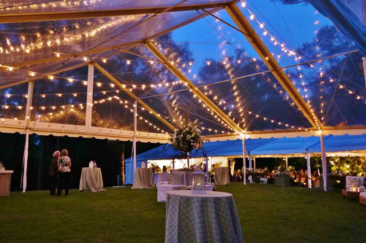 0030-150302-Elizabeth-Jimmilib-Harrison-wedding