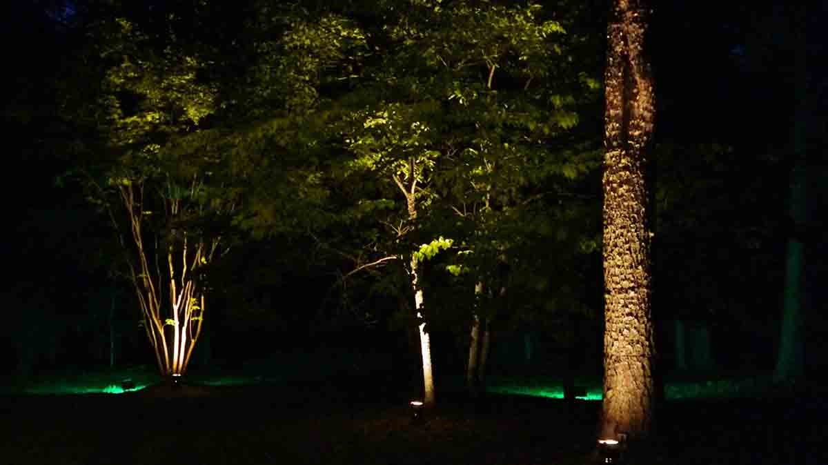 0041-150302-Elizabeth-Jimmilib-Harrison-wedding