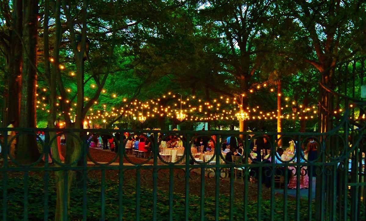 190221-Best-Stringer-Lights02