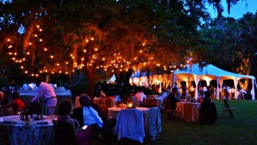 Cafe Stringers in Trees outdoor